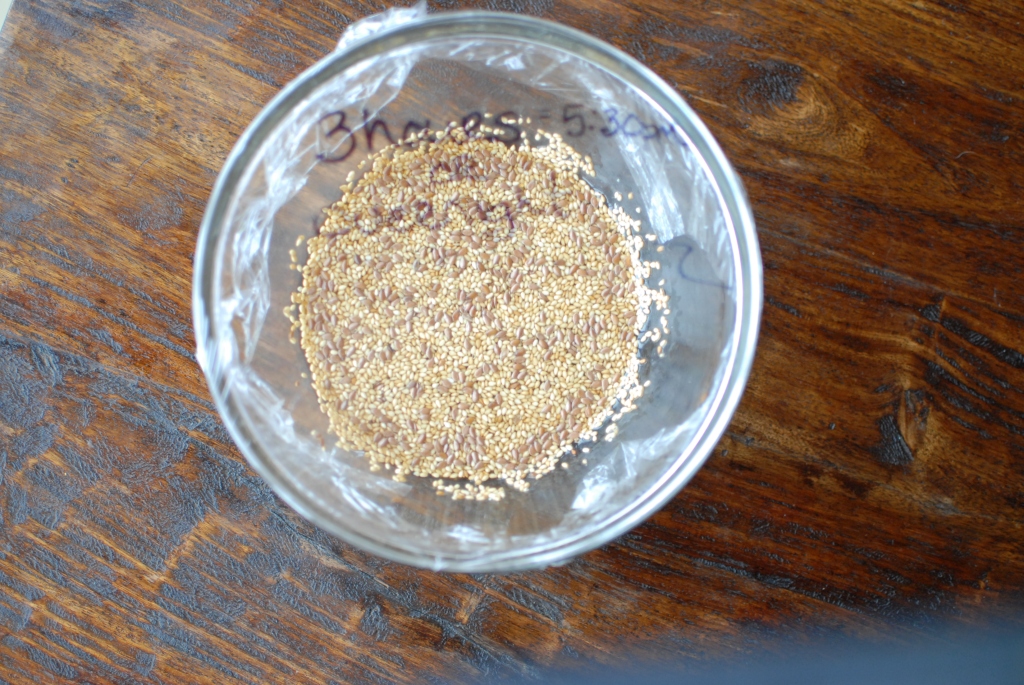 Ground Flax Seeds, Sesame Seeds, Water, Tamari Salt and Sesame oil Marinating. 